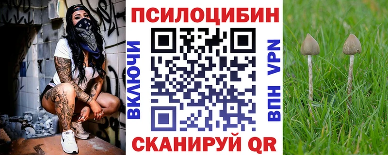 MEGA tor Павлово Псилоцибиновые грибы прущие грибы